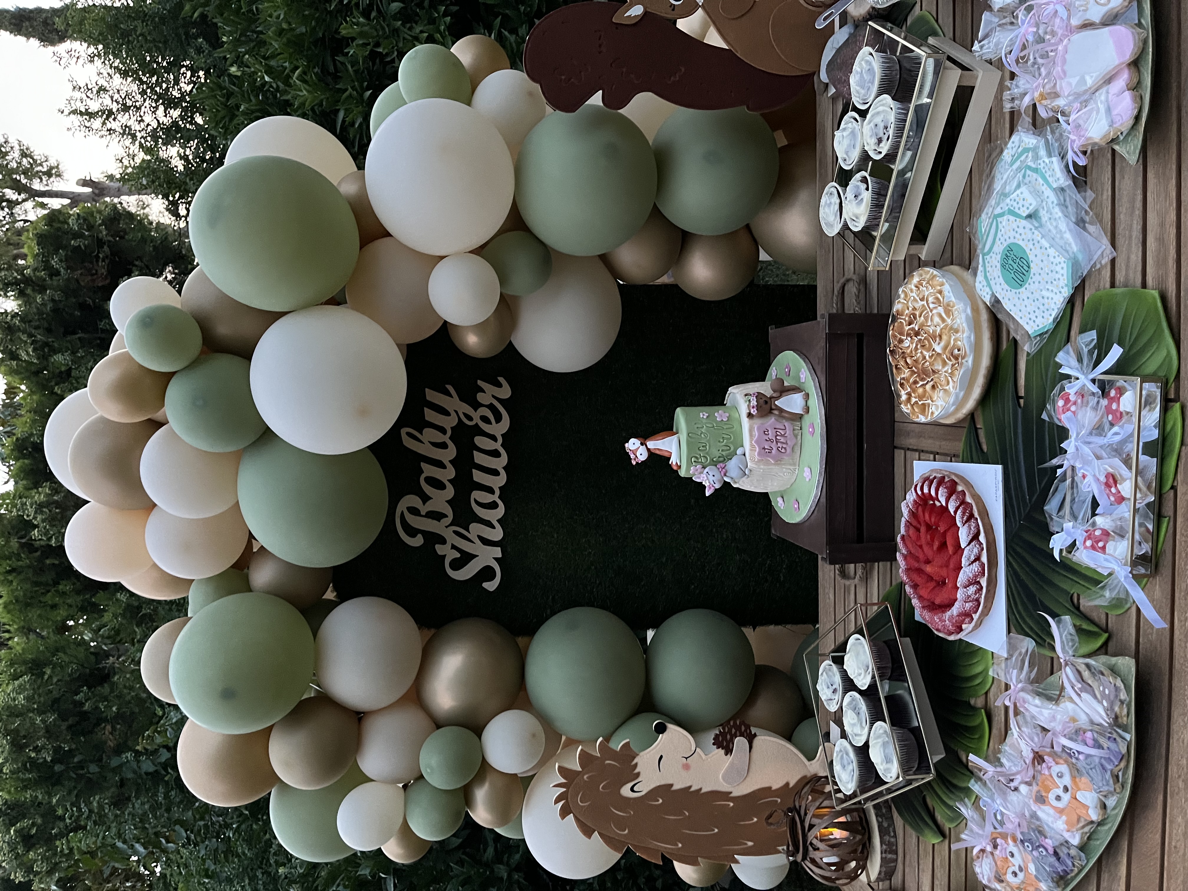 Baby shower party decoration. Θέμα ζωάκια του δάσους