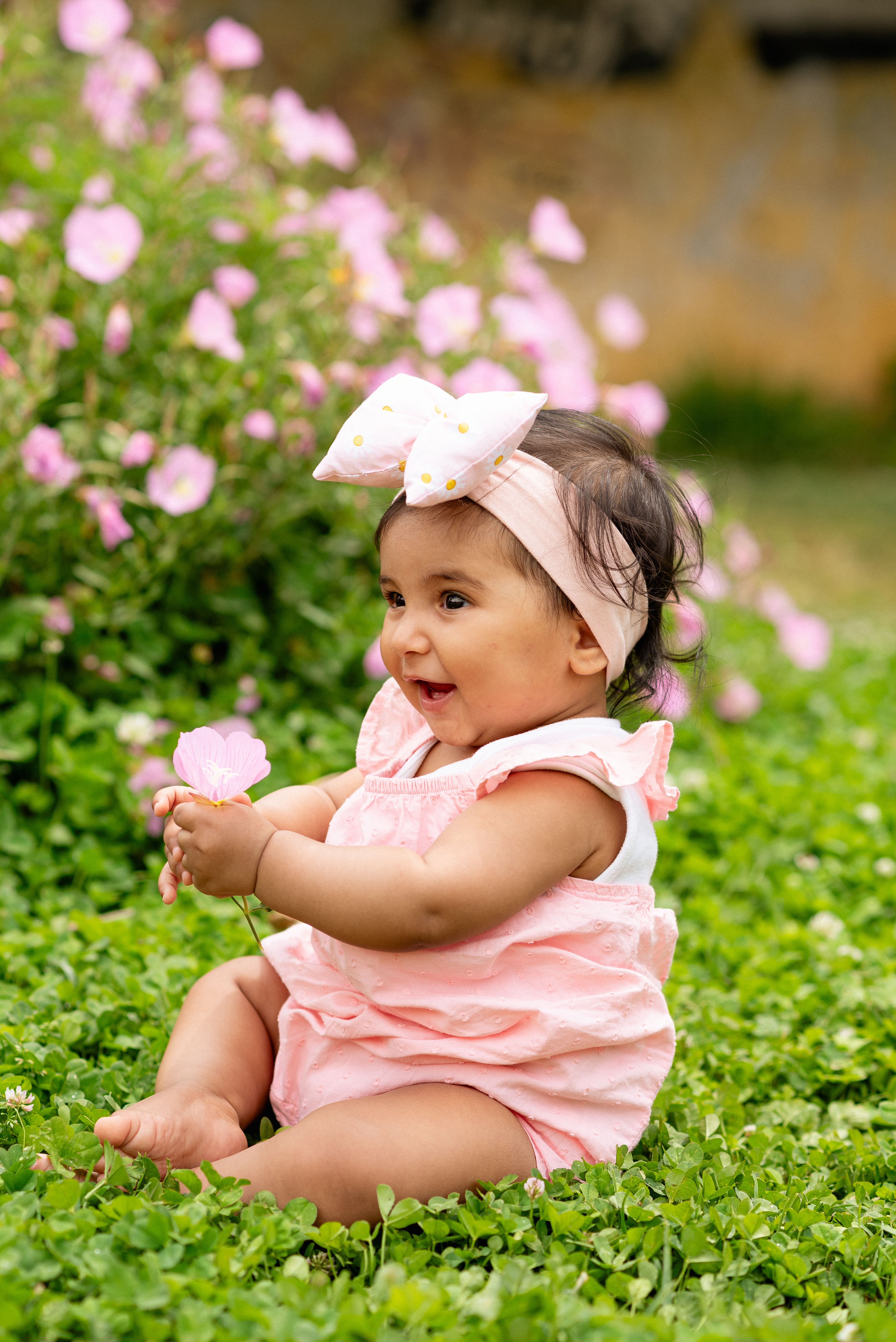 Δέσποινα Δραπανιώτη