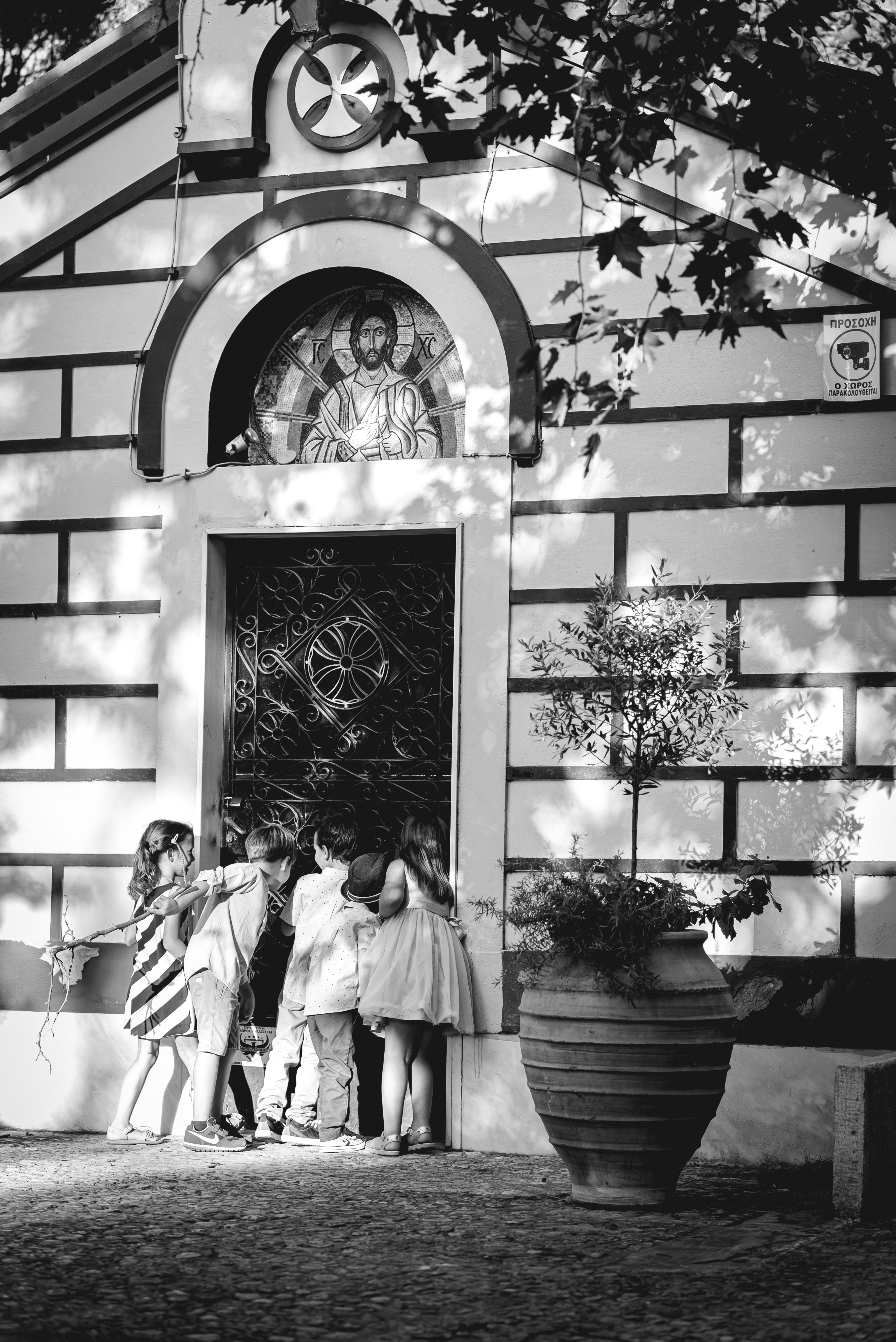 Δέσποινα Δραπανιώτη