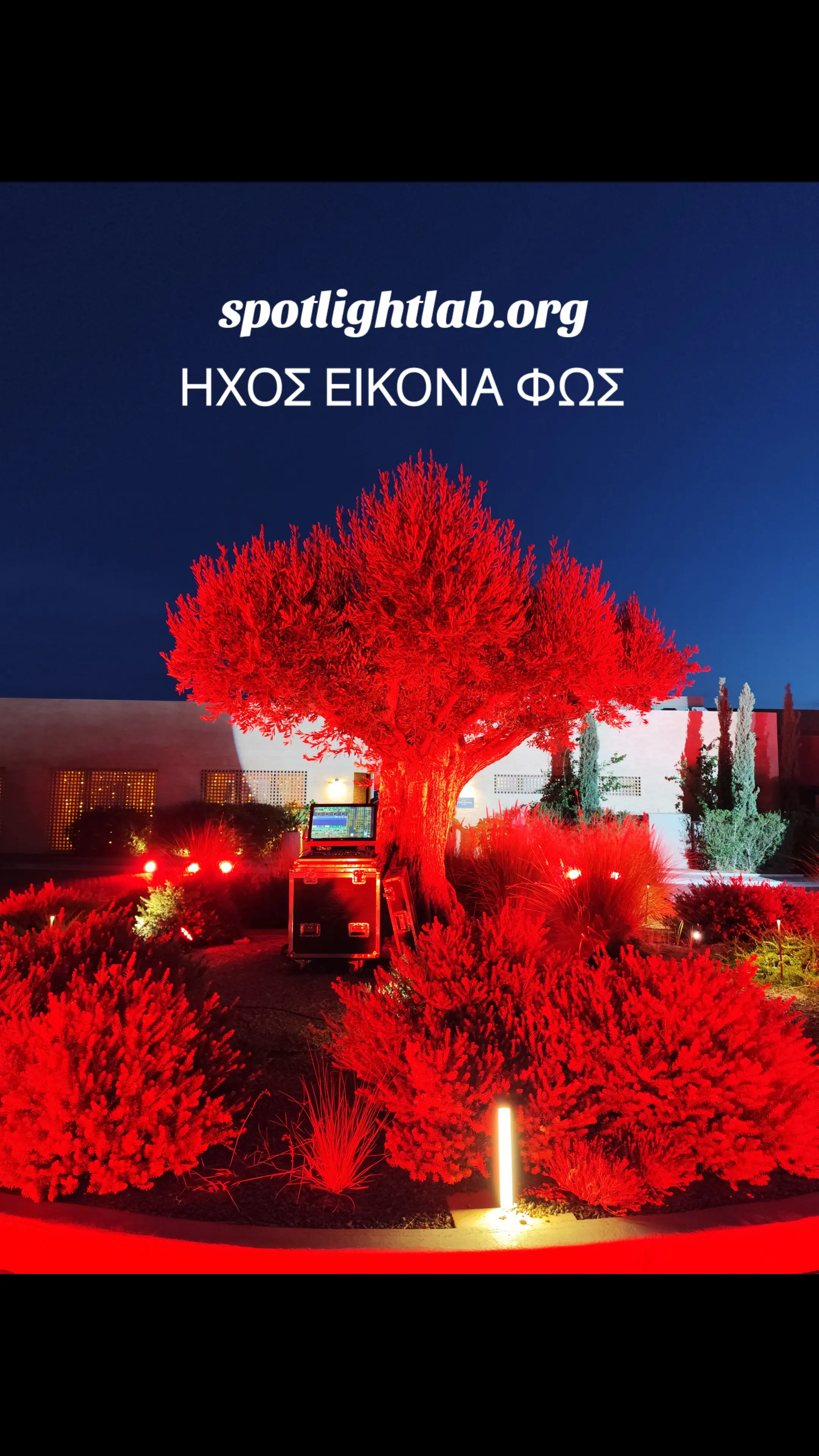 Spotlight art & culture