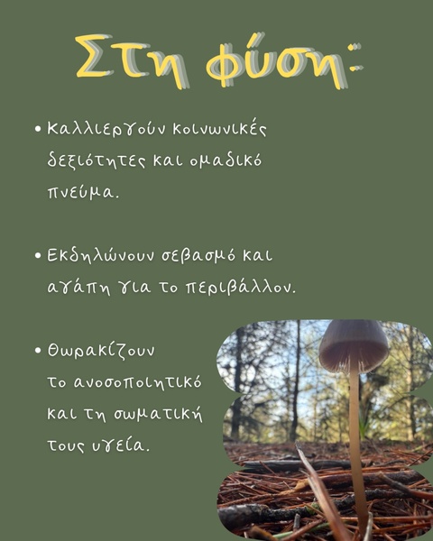 Σχολείο του Δάσους - 