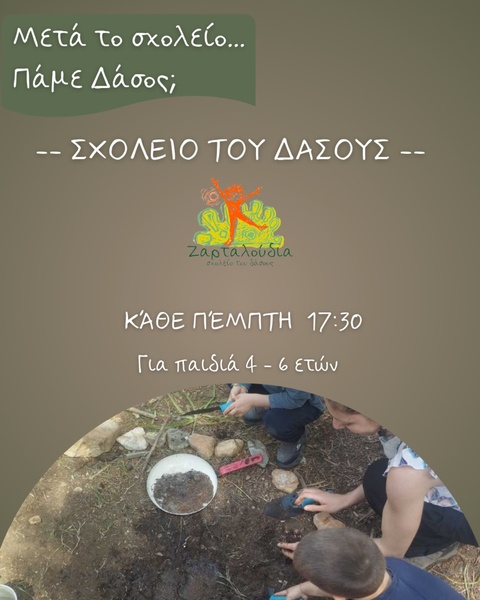 Σχολείο του Δάσους - 