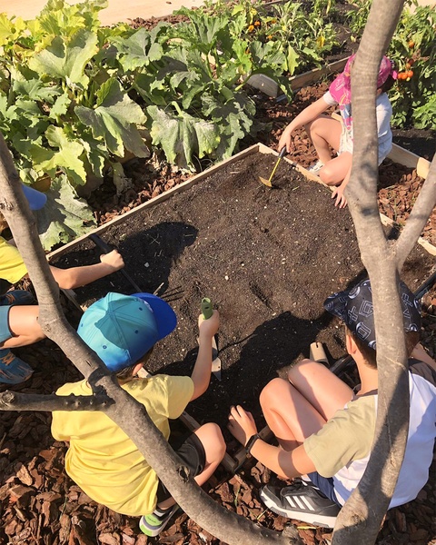 Κτήμα Αρίστη