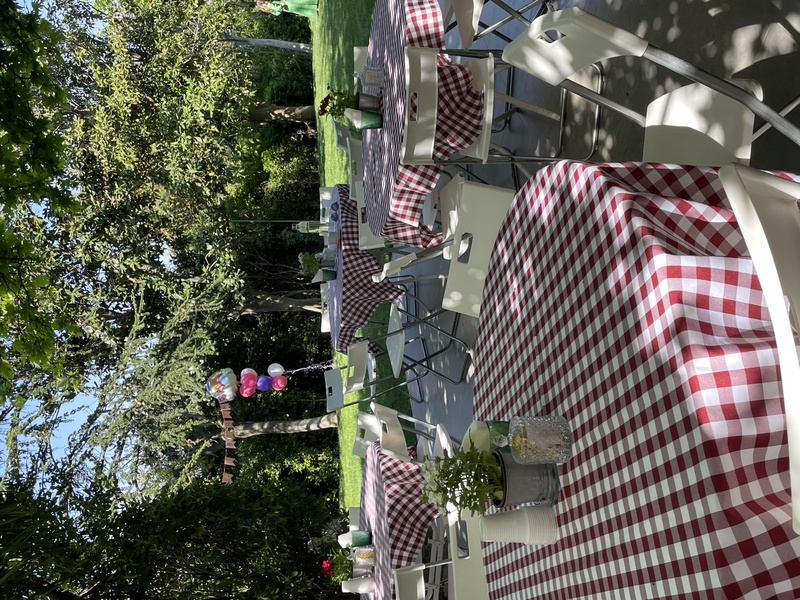 Ο κήπος μας 🪴