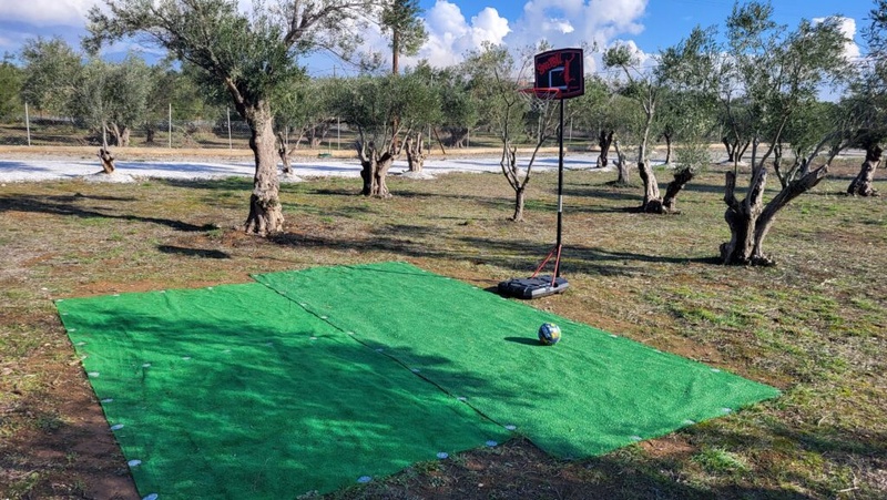 Στις ελιές του παππού στην ΘΕΡΜΗ ΘΕΣΣΑΛΟΝΙΚΗΣ