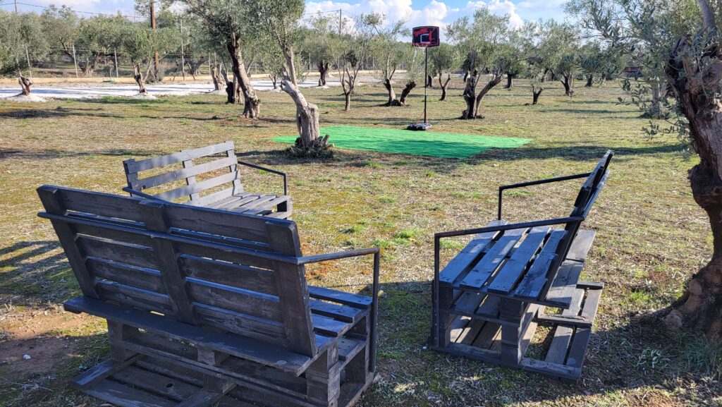 Στις ελιές του παππού στην ΘΕΡΜΗ ΘΕΣΣΑΛΟΝΙΚΗΣ