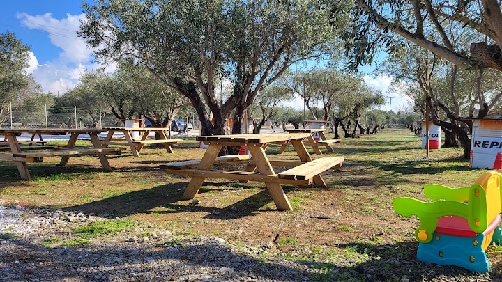 Στις ελιές του παππού στην ΘΕΡΜΗ ΘΕΣΣΑΛΟΝΙΚΗΣ