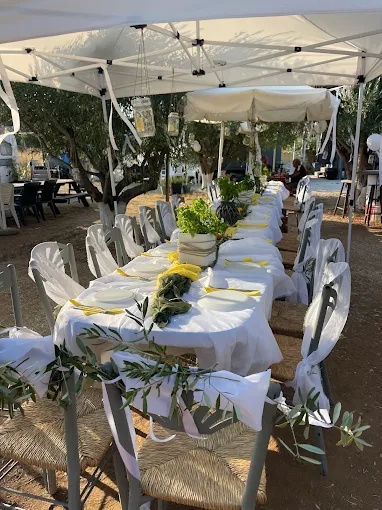 Στις ελιές του παππού στην ΘΕΡΜΗ ΘΕΣΣΑΛΟΝΙΚΗΣ