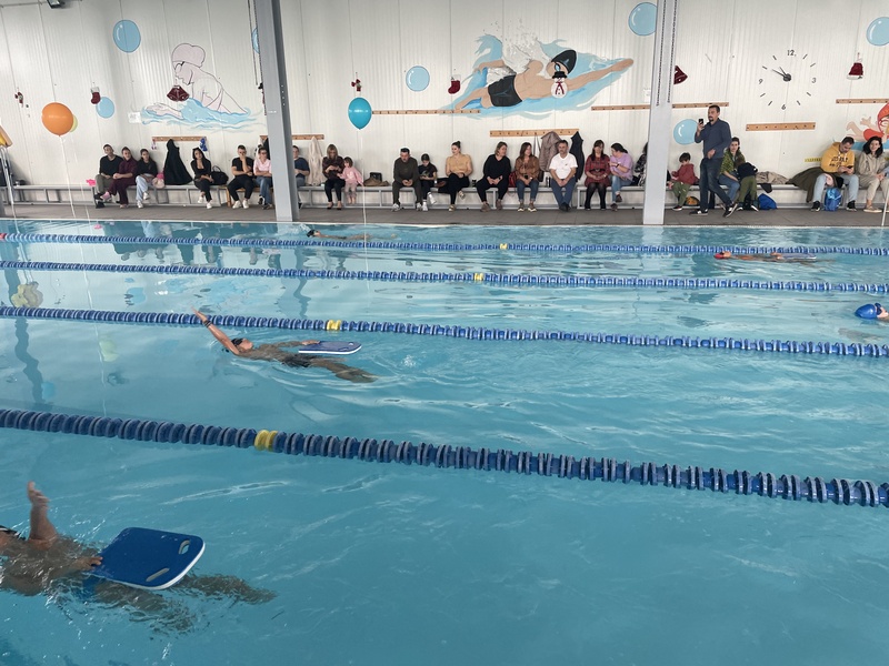 Θοδωρής Ορφανιδης - 