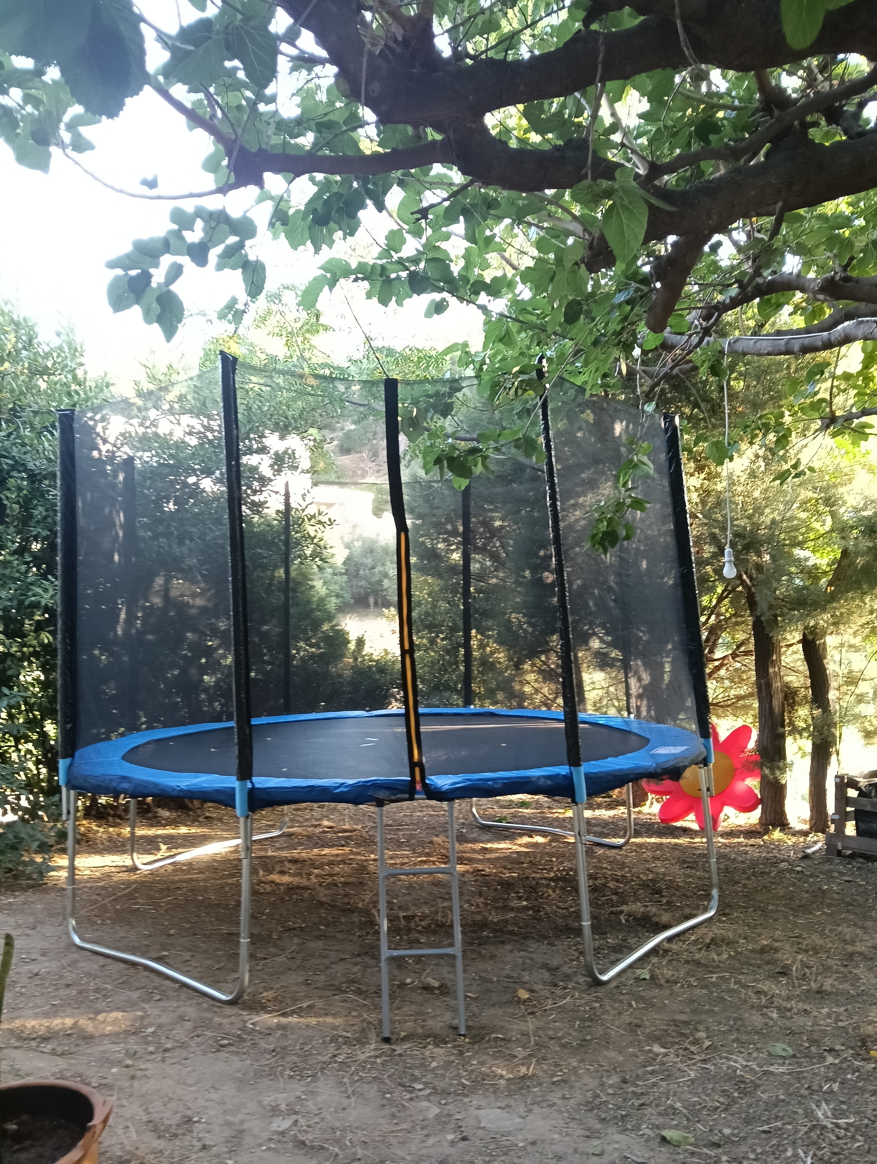 Θέαλον Events