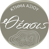 ΘΕΑΣΙΣ ΚΤΗΜΑ ΑΞΙΟΥ logo